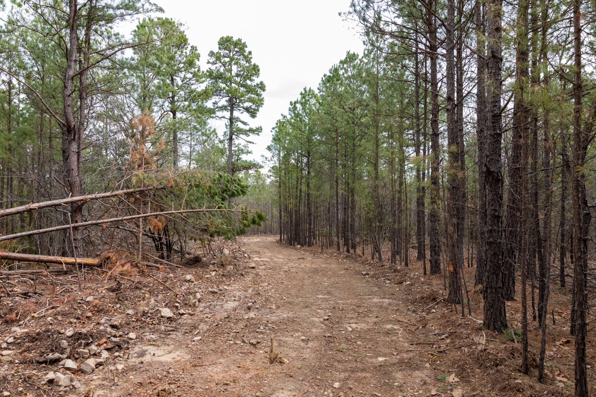Stone Bridge Phase III Tract 206 photo 2