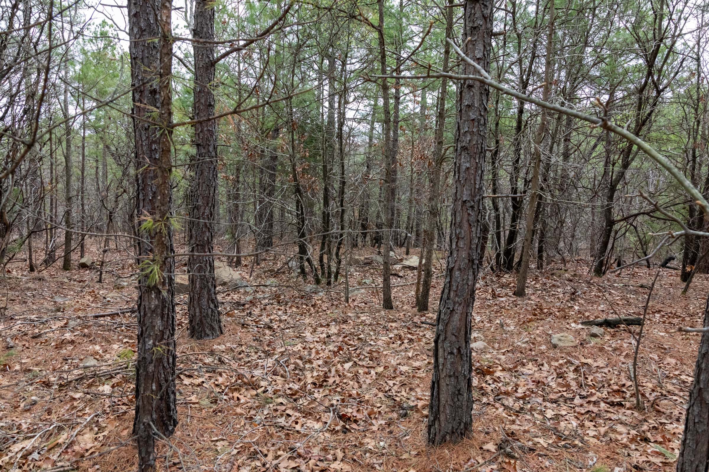 Stone Bridge Phase III Tract 206 photo 10