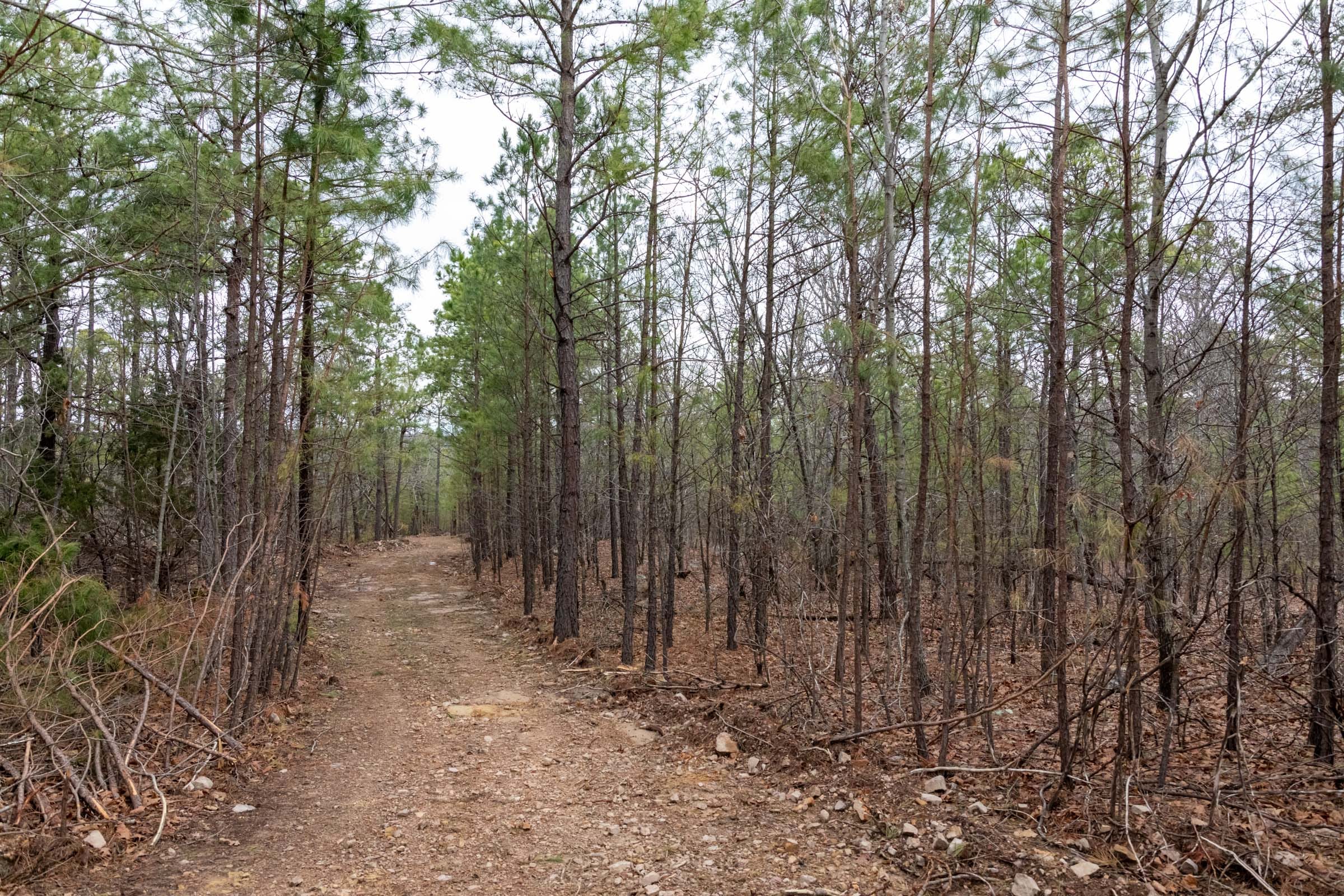 Stone Bridge Phase III Tract 206 photo 12