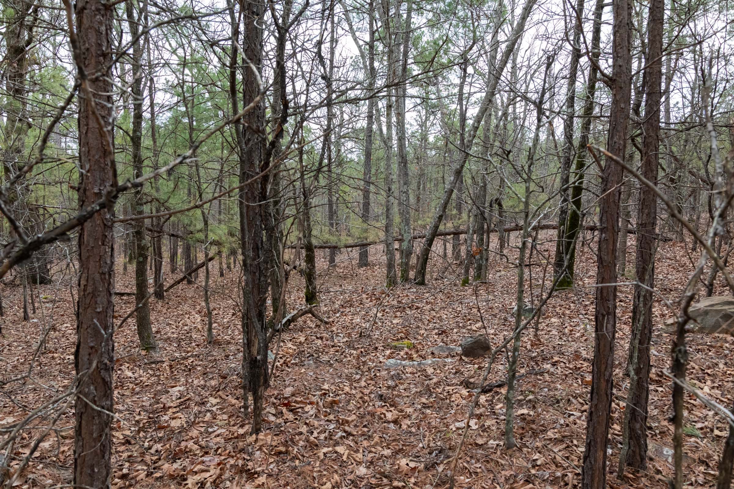 Stone Bridge Phase III Tract 206 photo 11