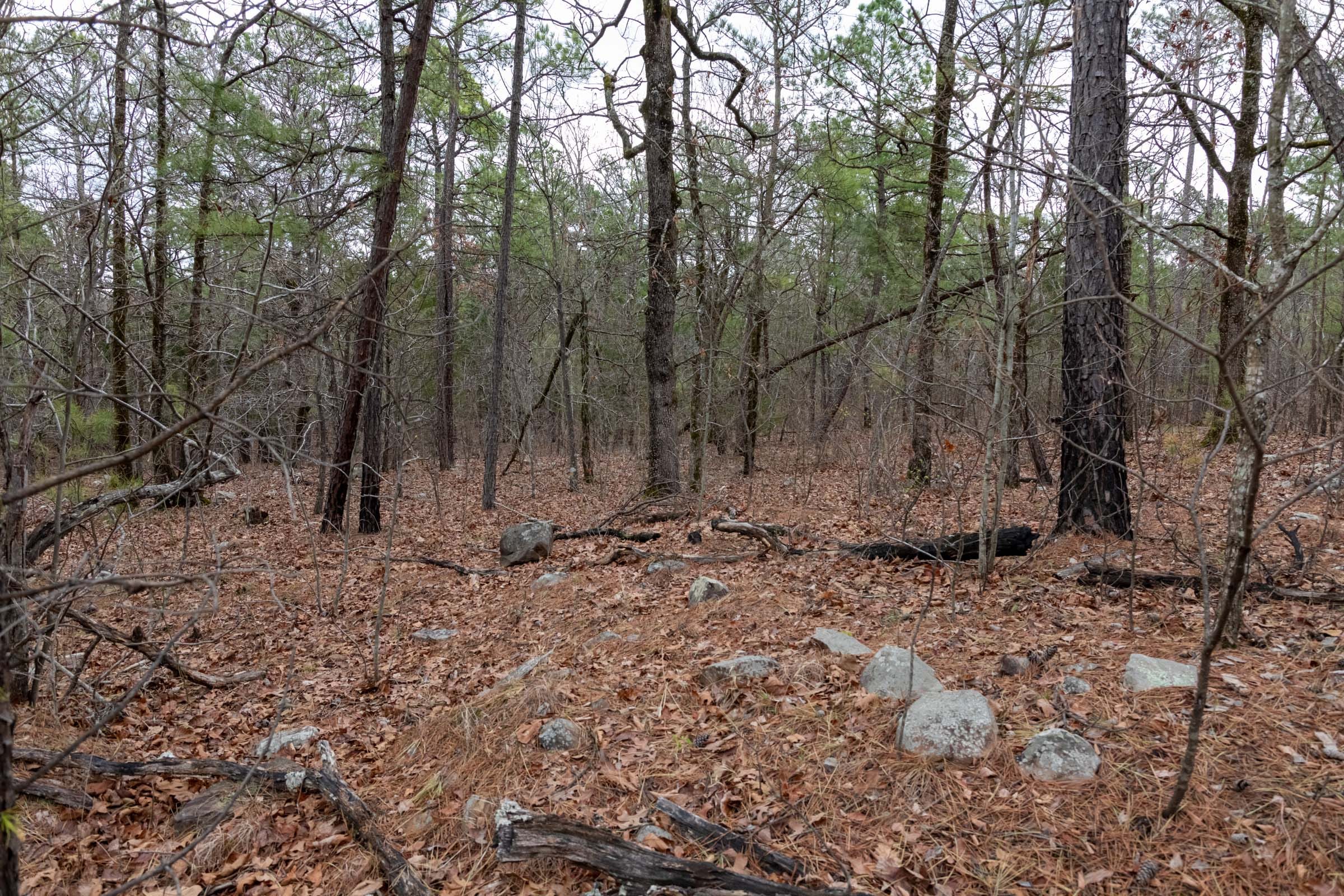 Stone Bridge Phase III Tract 206 photo 14