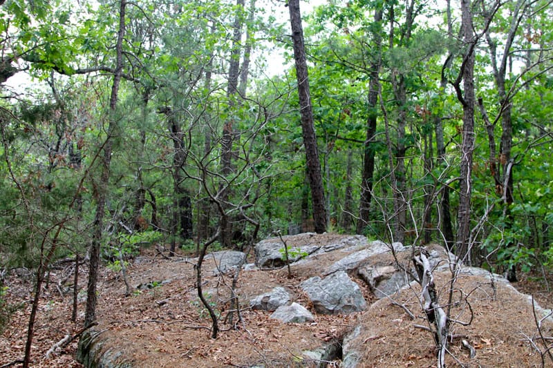 Trophy Ridge Phase II Tract 81 photo 2