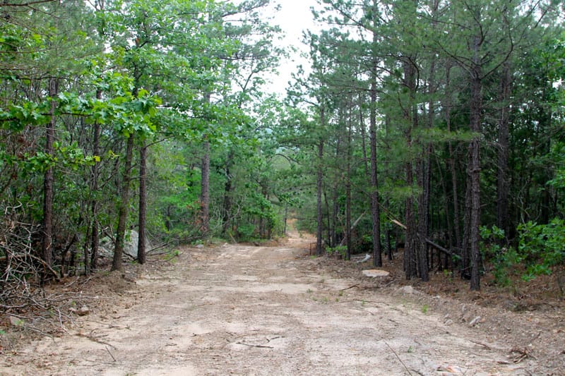 Trophy Ridge Phase II Tract 81 photo 1