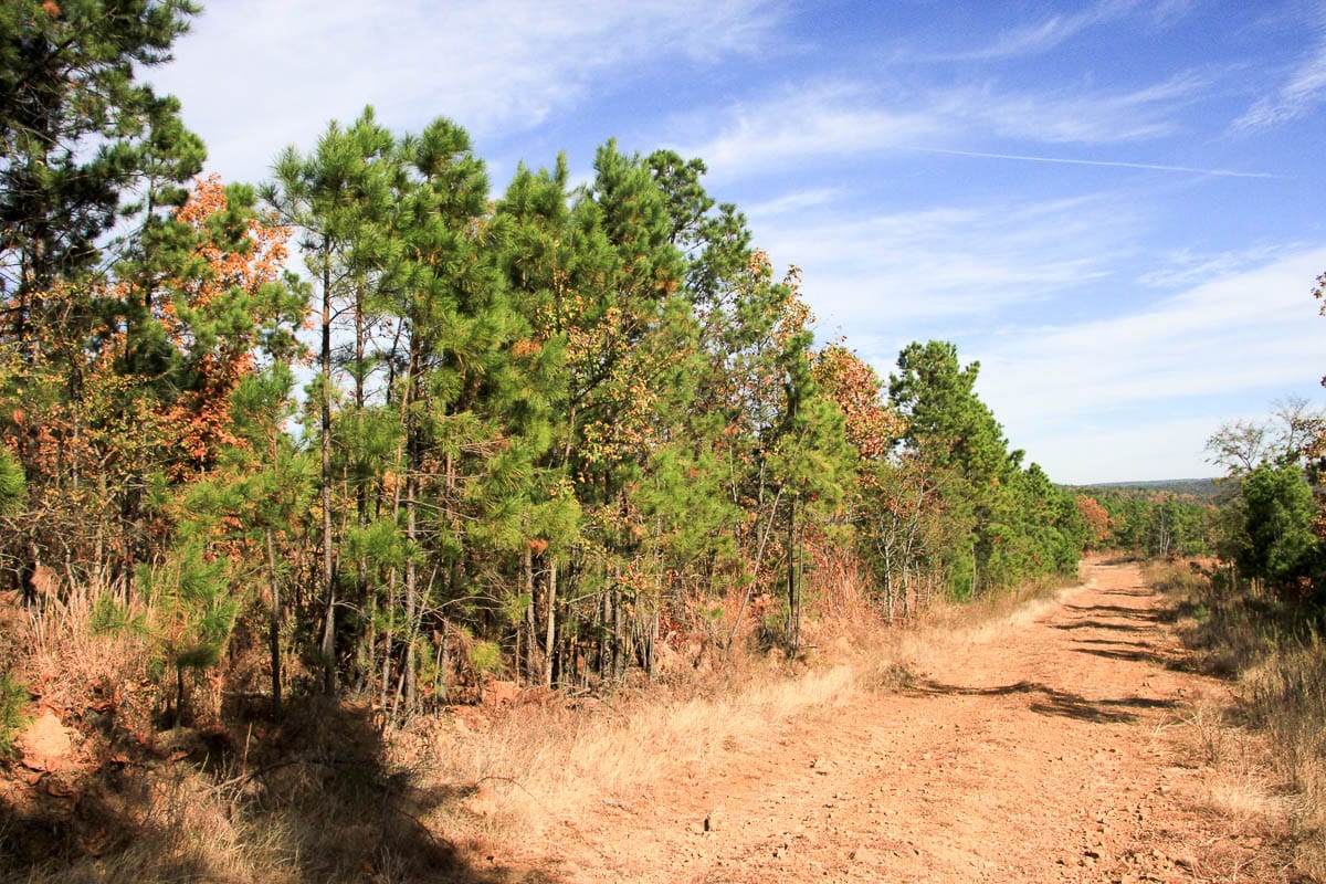 Stone Creek Phase III Tract 36 photo 2