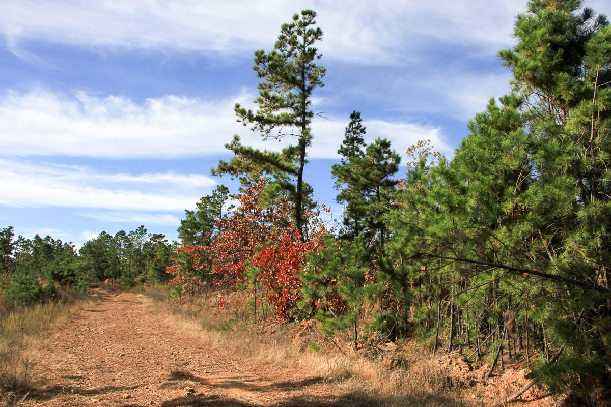 Stone Creek Phase III Tract 36 photo 4