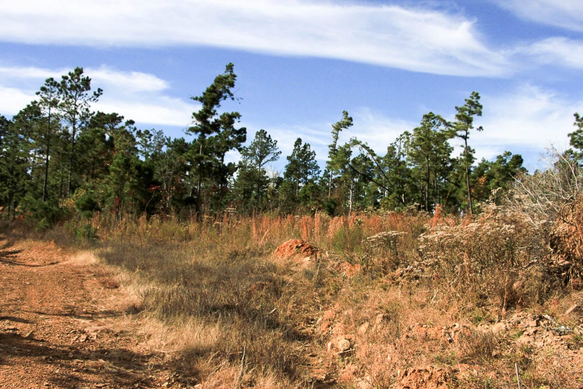 Stone Creek Phase III Tract 36 photo 8