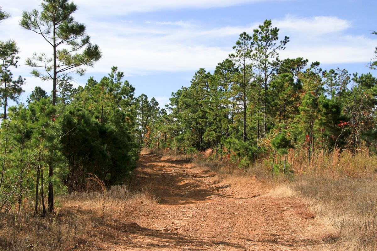 Stone Creek Phase III Tract 36 photo 9