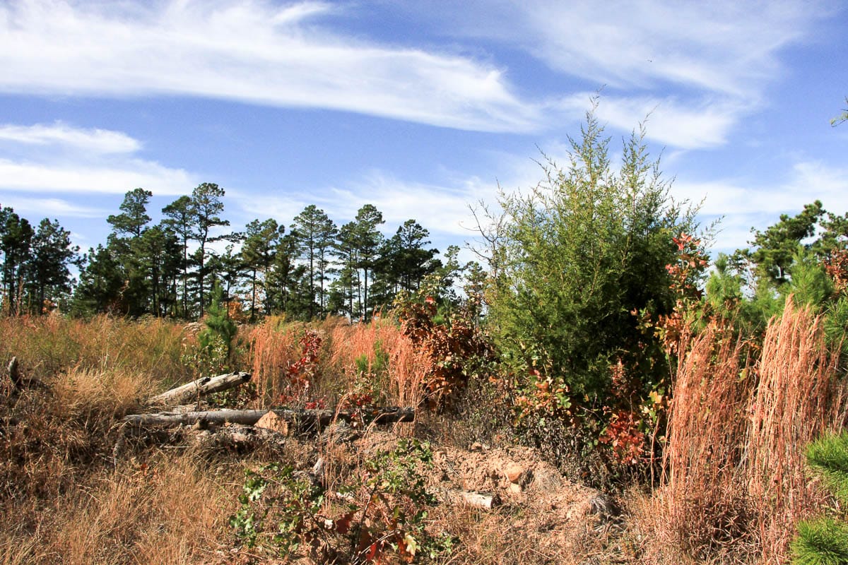 Stone Creek Phase III Tract 36 photo 13