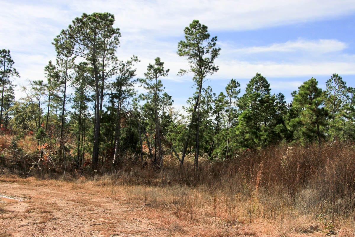Stone Creek Phase III Tract 36 photo 14