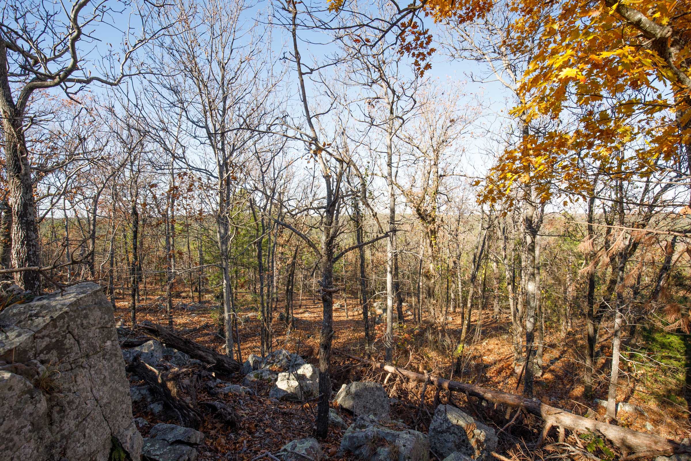 Stone Bridge Phase II Tract 79 photo 4