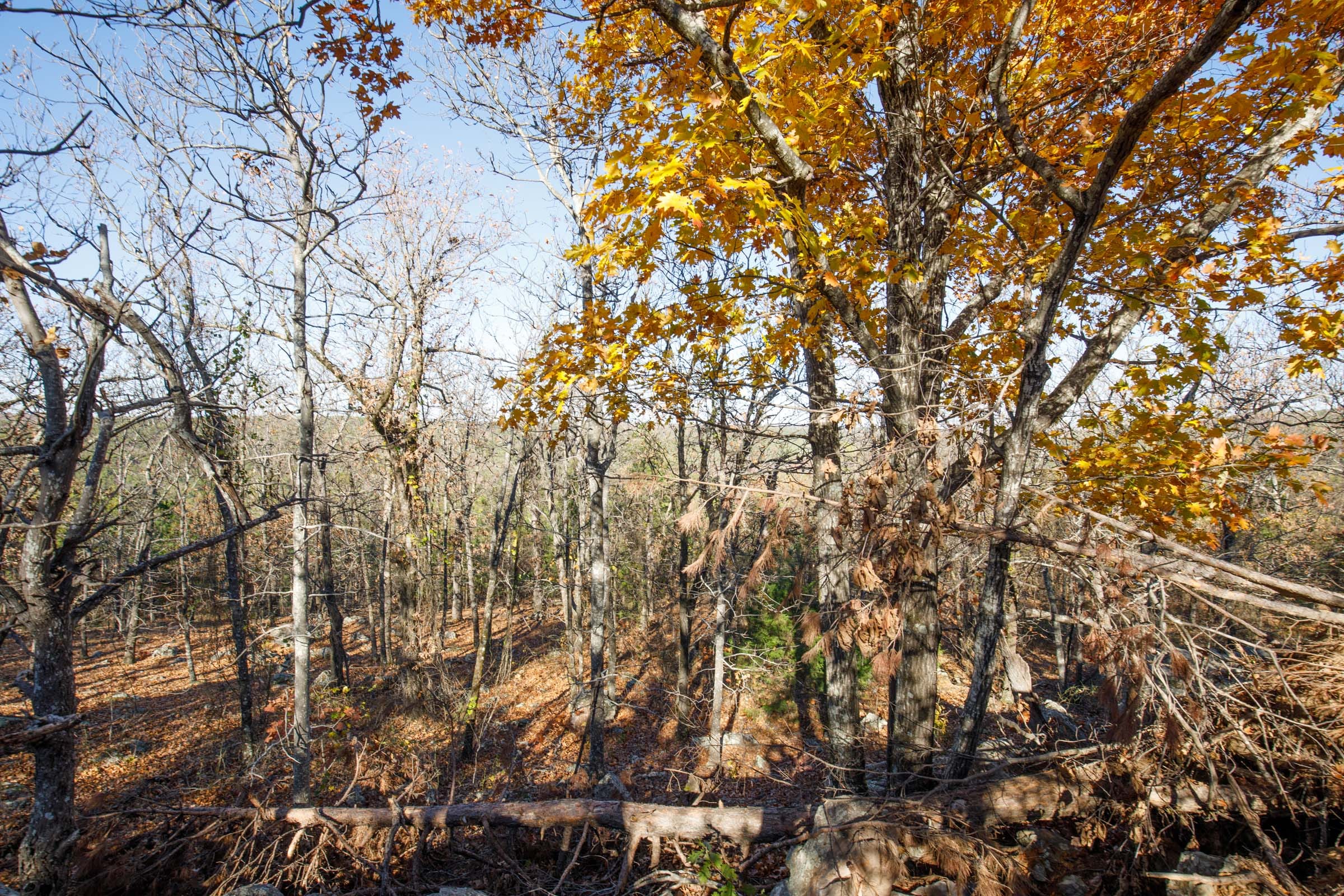 Stone Bridge Phase II Tract 79 photo 6