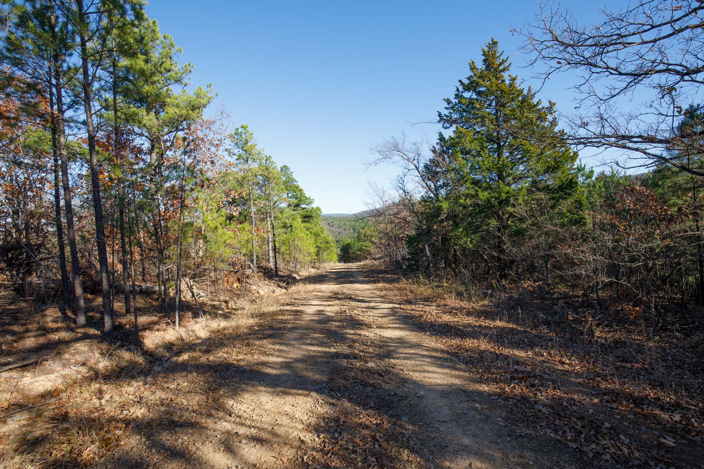 Stone Bridge Phase II Tract 79 photo 1