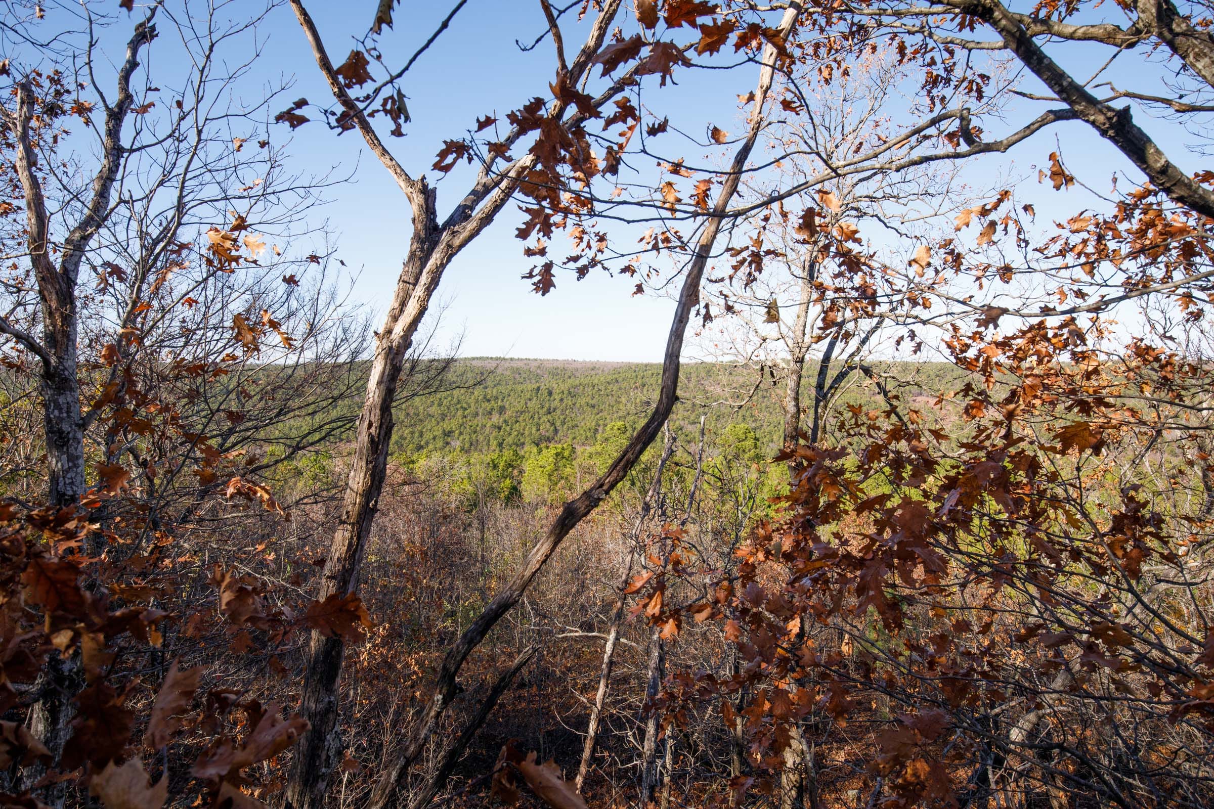 Stone Bridge Phase II Tract 79 photo 7
