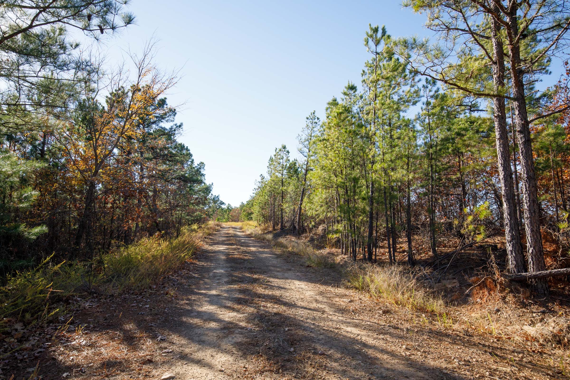 Stone Bridge Phase II Tract 79 photo 5