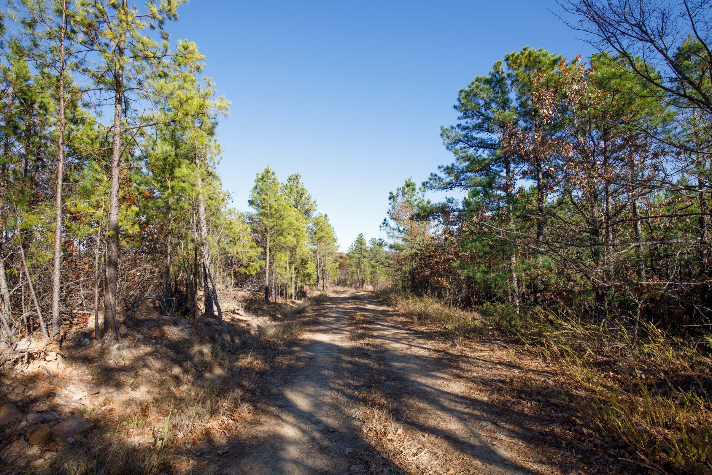 Stone Bridge Phase II Tract 79 photo 9