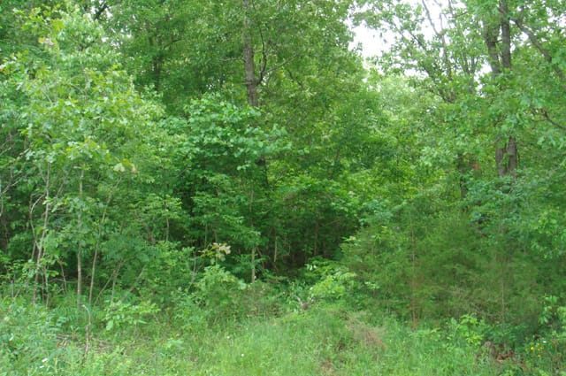 Whispering Oaks Tract 4 photo 1