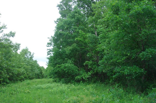 Whispering Oaks Tract 4 photo 3