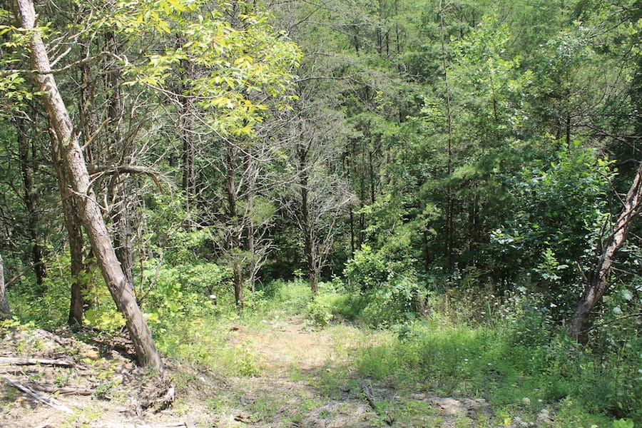 Cumberland Ridge Ranch Tract 1 photo 17