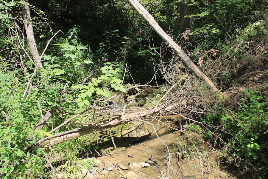 Cumberland Ridge Ranch Tract 1 photo 20