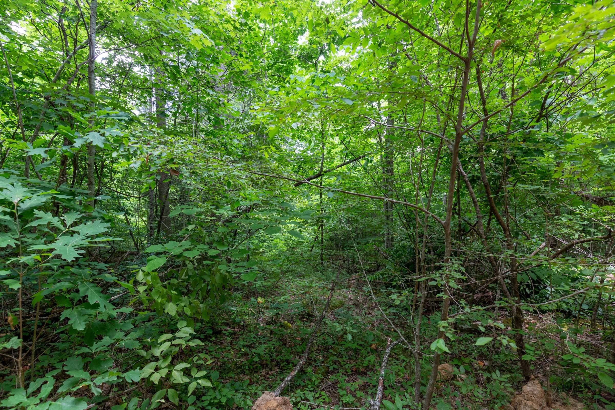 Tucker Hollow Tract 13 photo 7