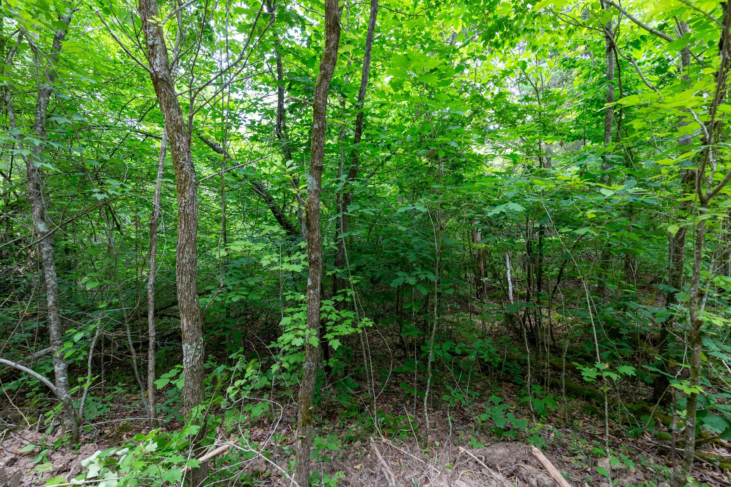 Tucker Hollow Tract 13 photo 1