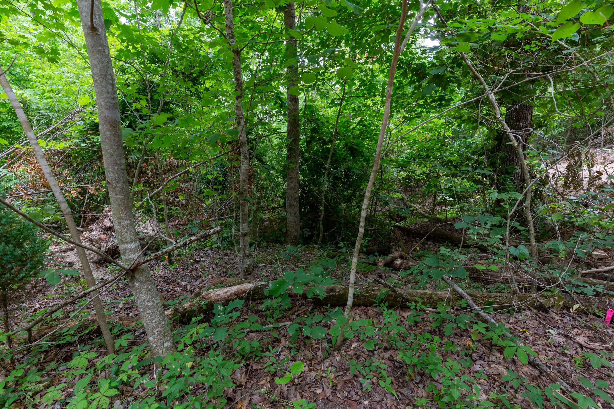 Tucker Hollow Tract 13 photo 15