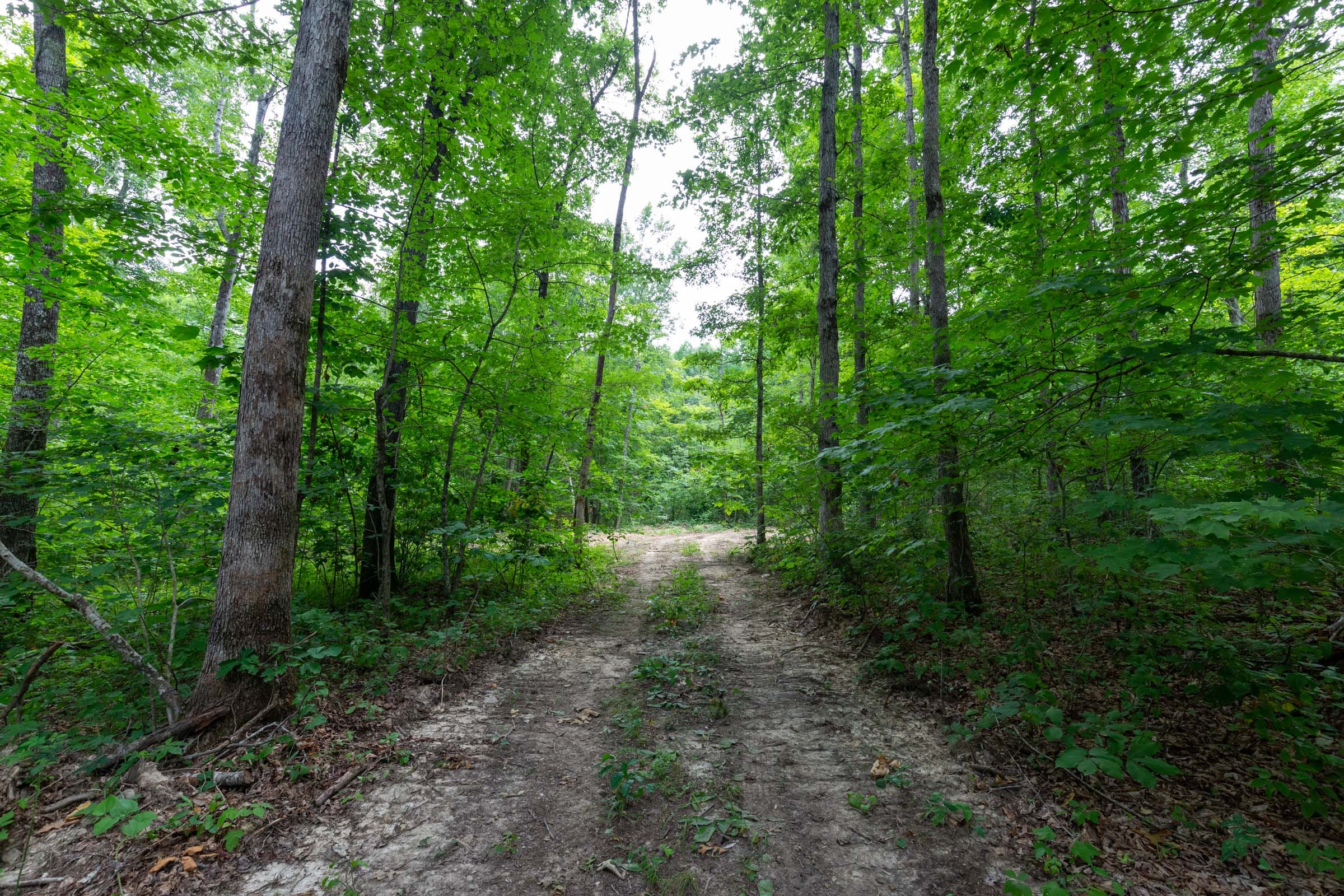Tucker Hollow Tract 13 photo 2