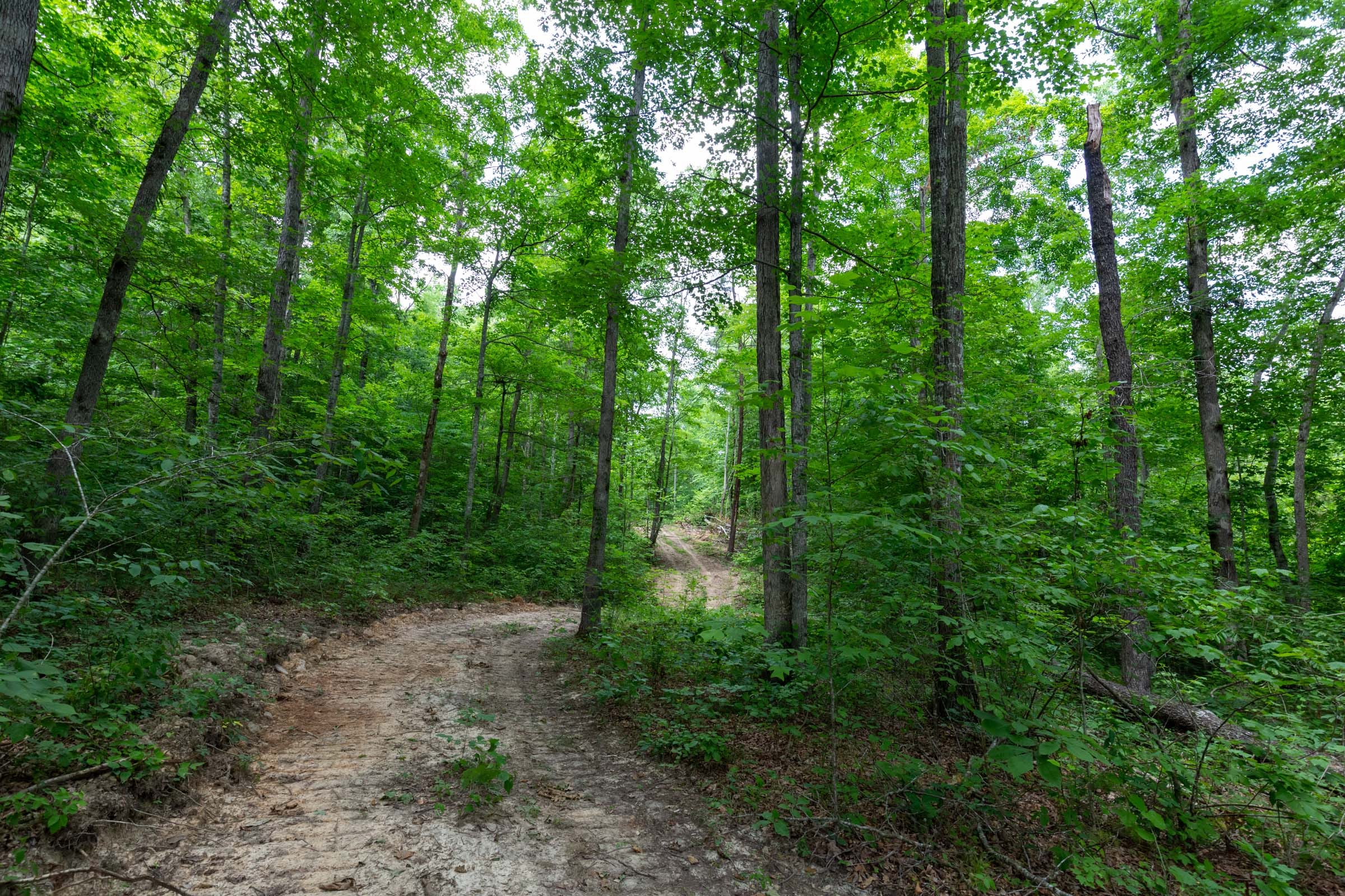 Tucker Hollow Tract 13 photo 9