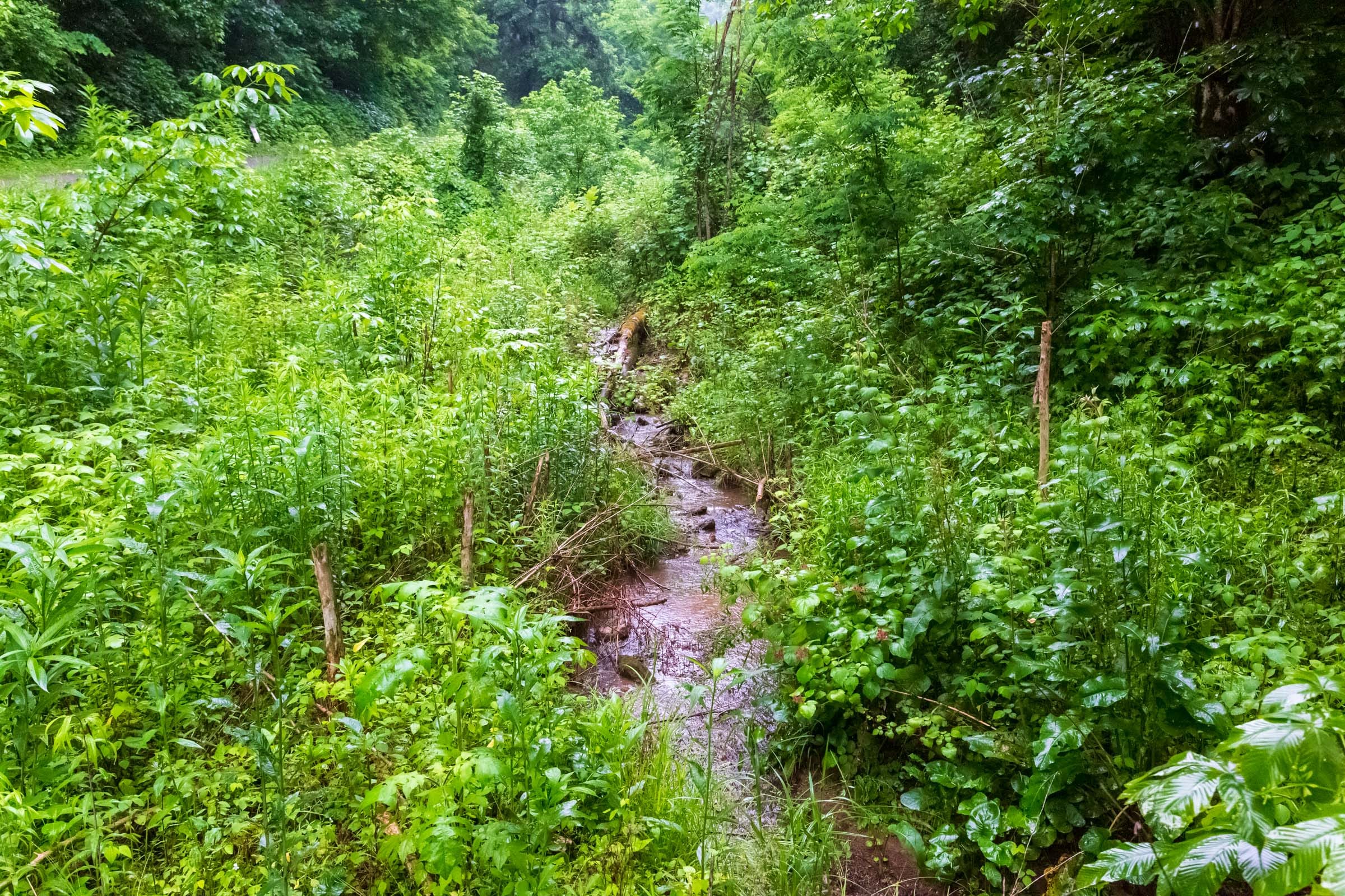Bluffview Tract 12 photo 5