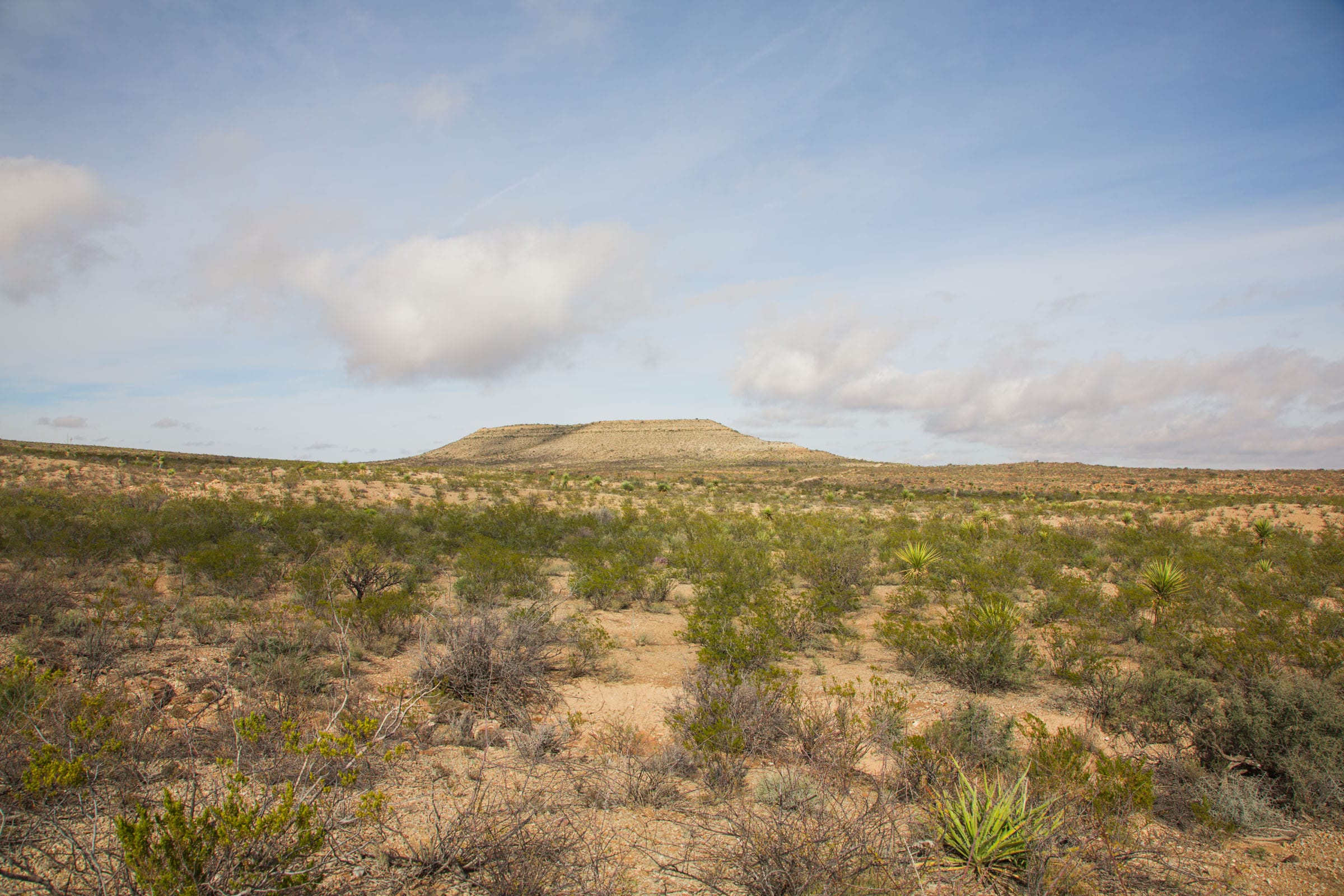 Sunset Ranches Tract 31 photo 3