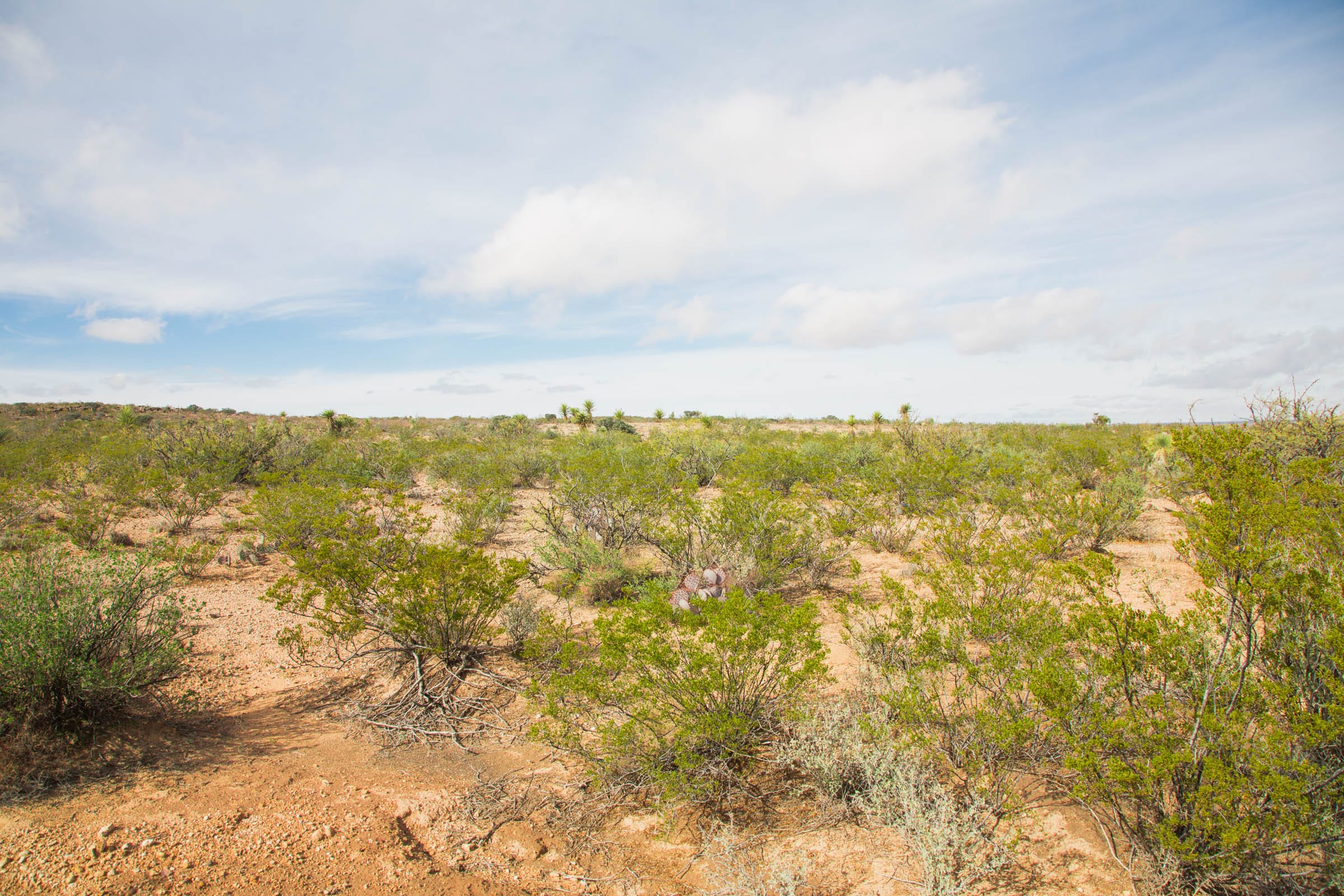 Sunset Ranches Tract 31 photo 12