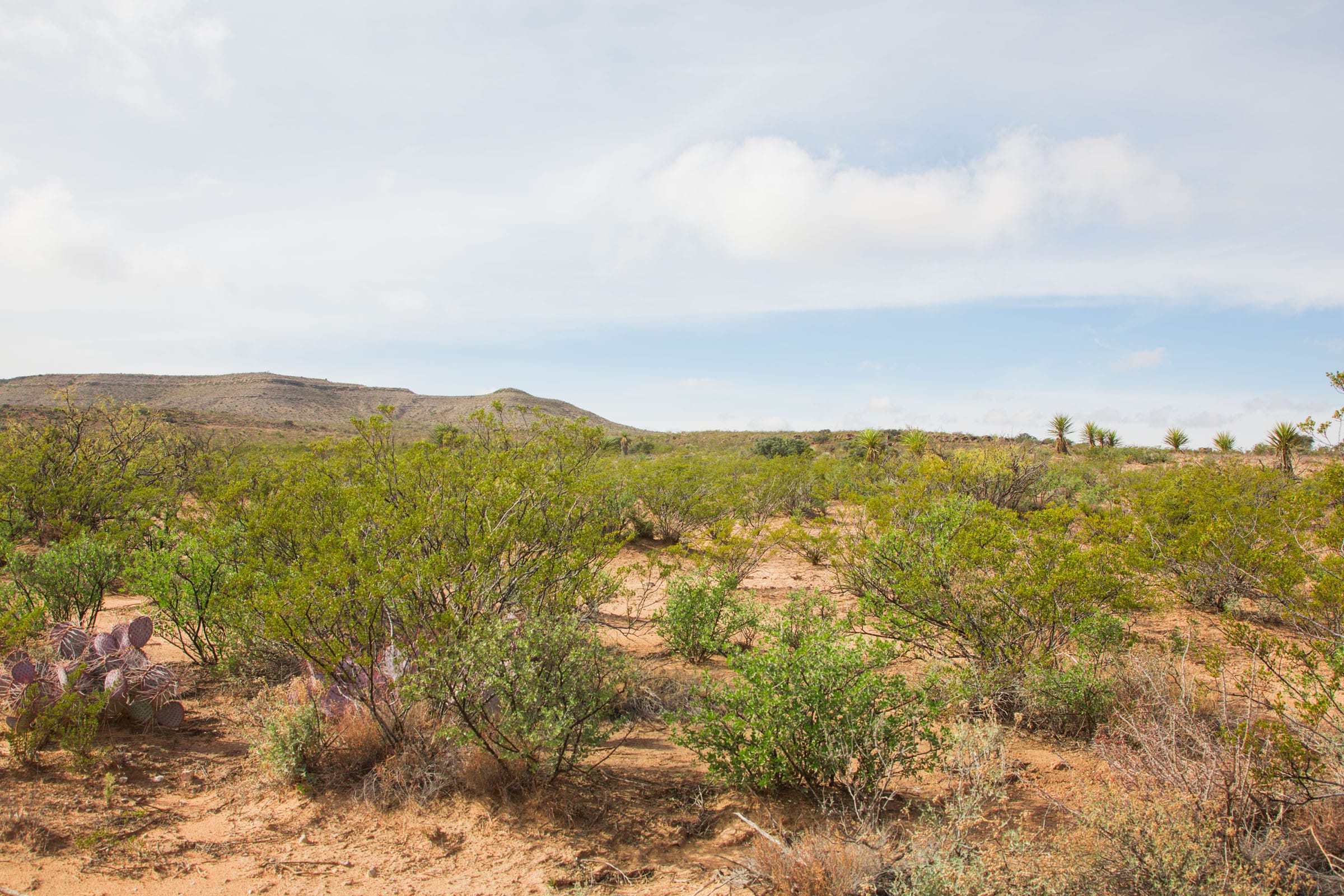 Sunset Ranches Tract 31 photo 14