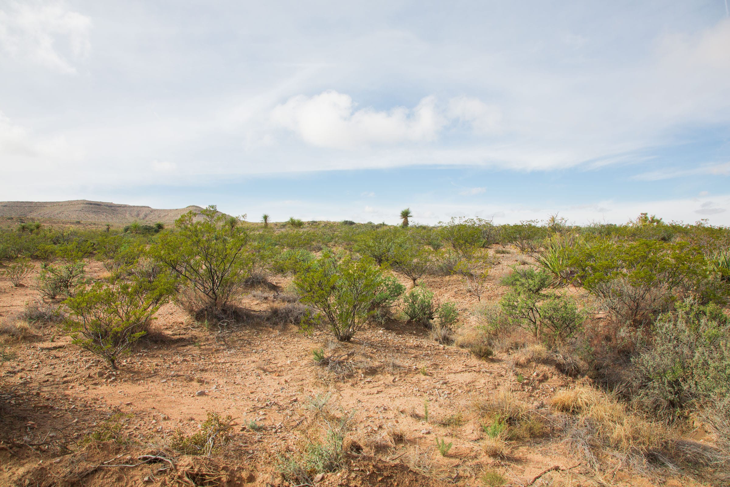 Sunset Ranches Tract 31 photo 16