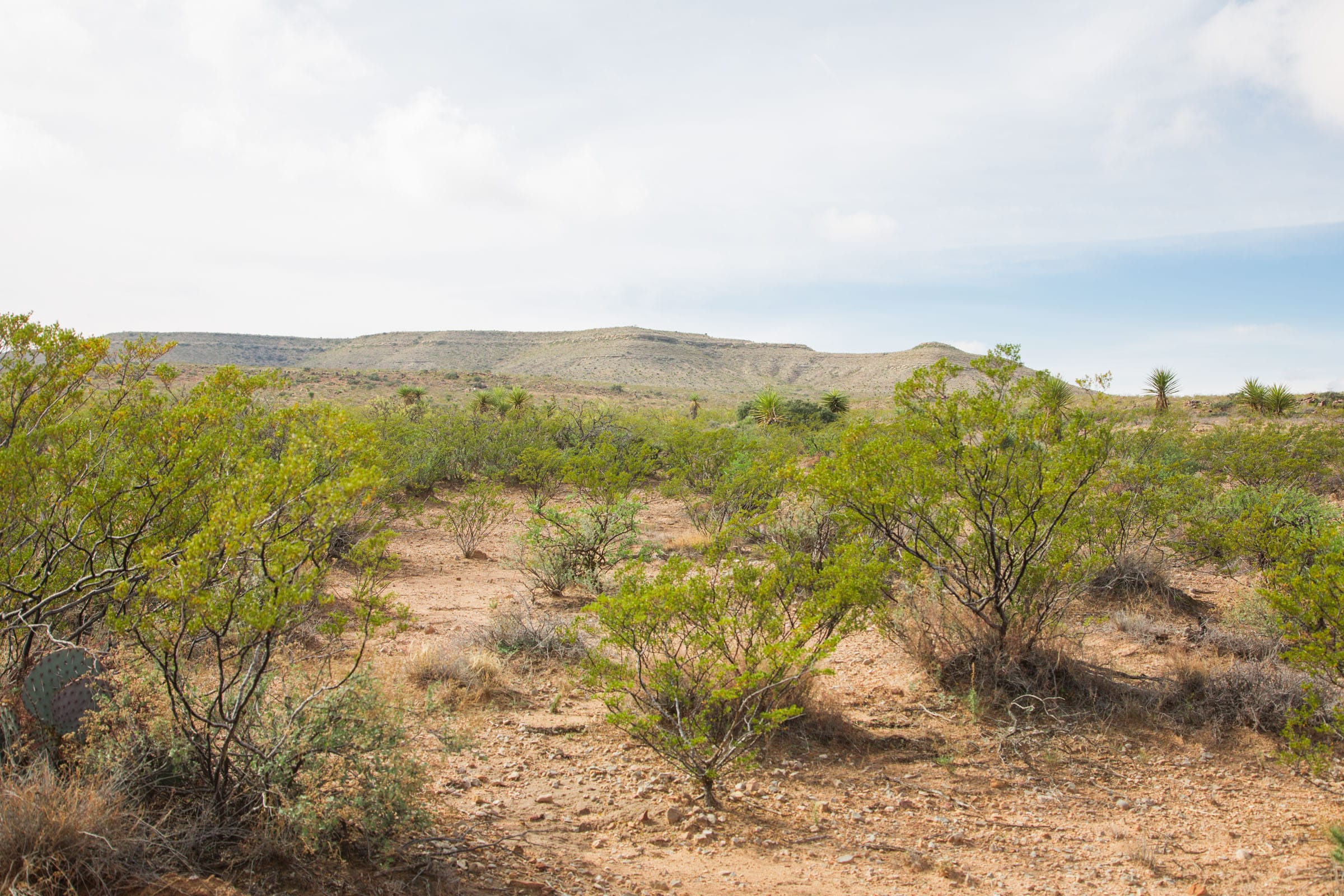 Sunset Ranches Tract 31 photo 17