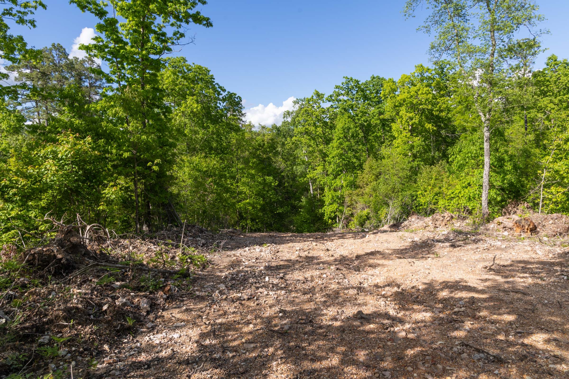 Sleepy Hollow Phase II Tract 63 photo 5