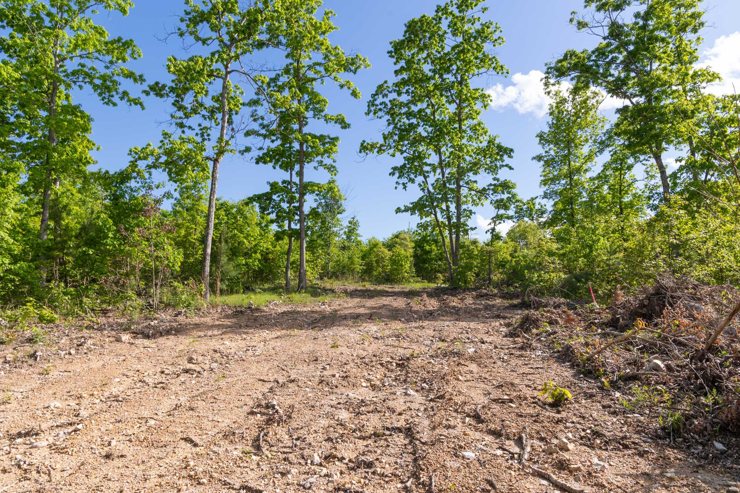 Sleepy Hollow Phase II Tract 63 photo 2