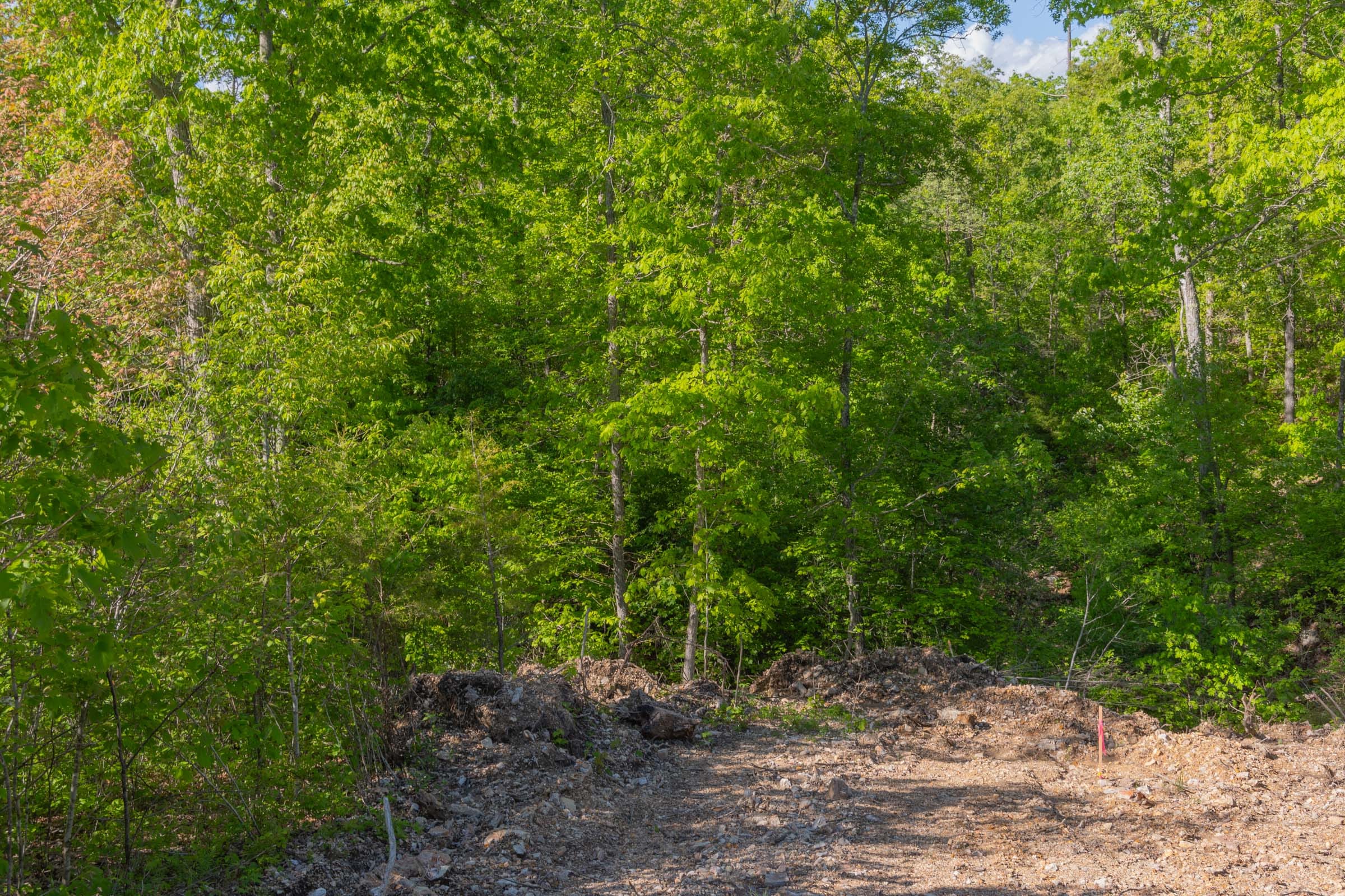 Sleepy Hollow Phase II Tract 63 photo 16