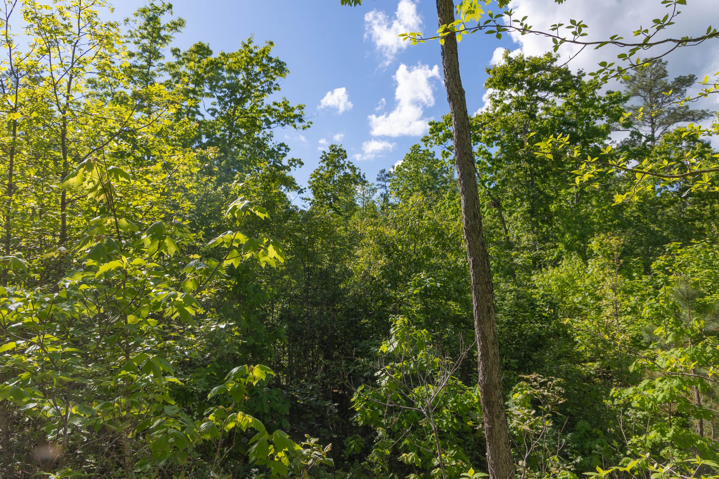 Sleepy Hollow Phase II Tract 63 photo 15