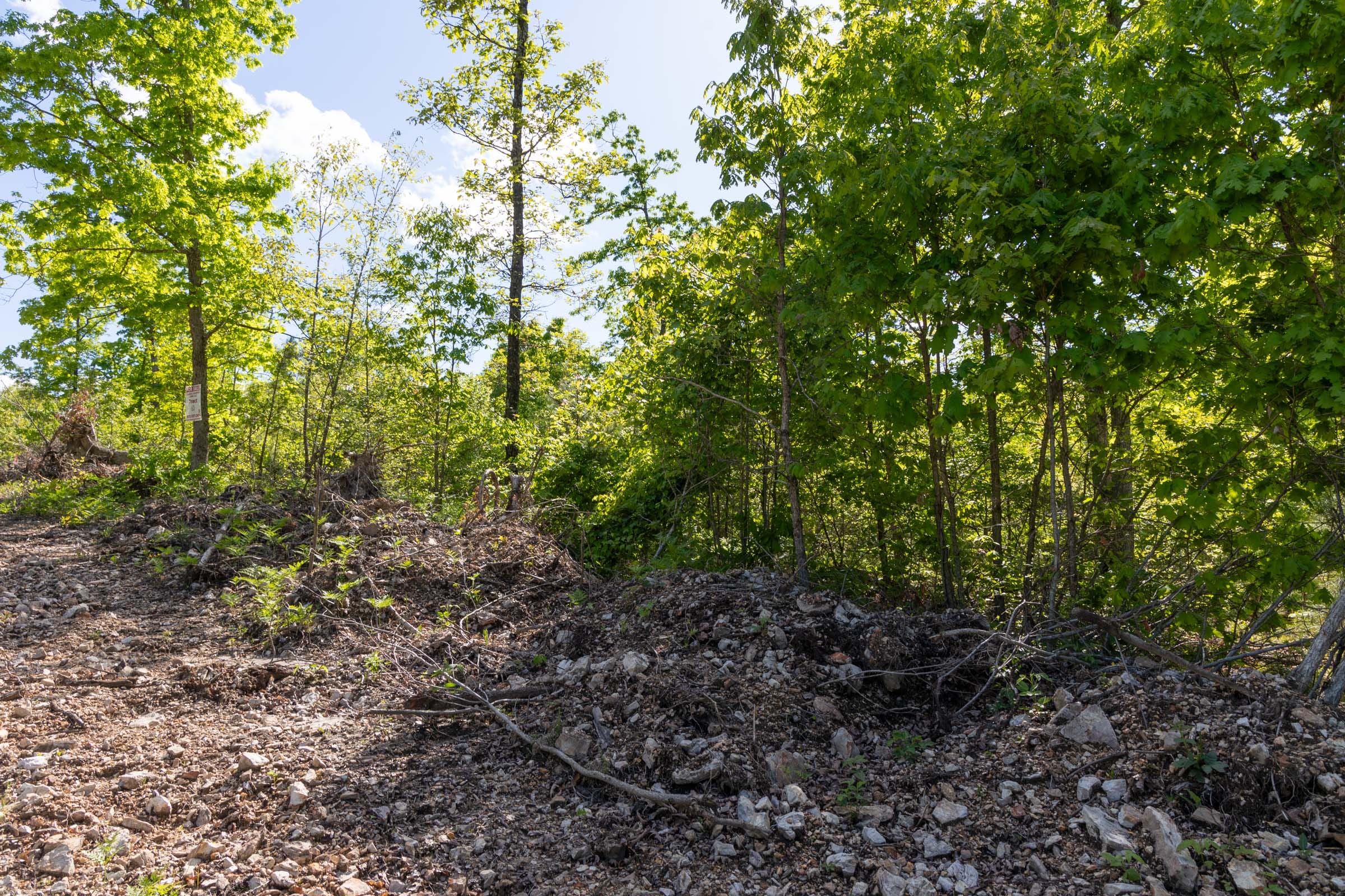 Sleepy Hollow Phase II Tract 63 photo 14