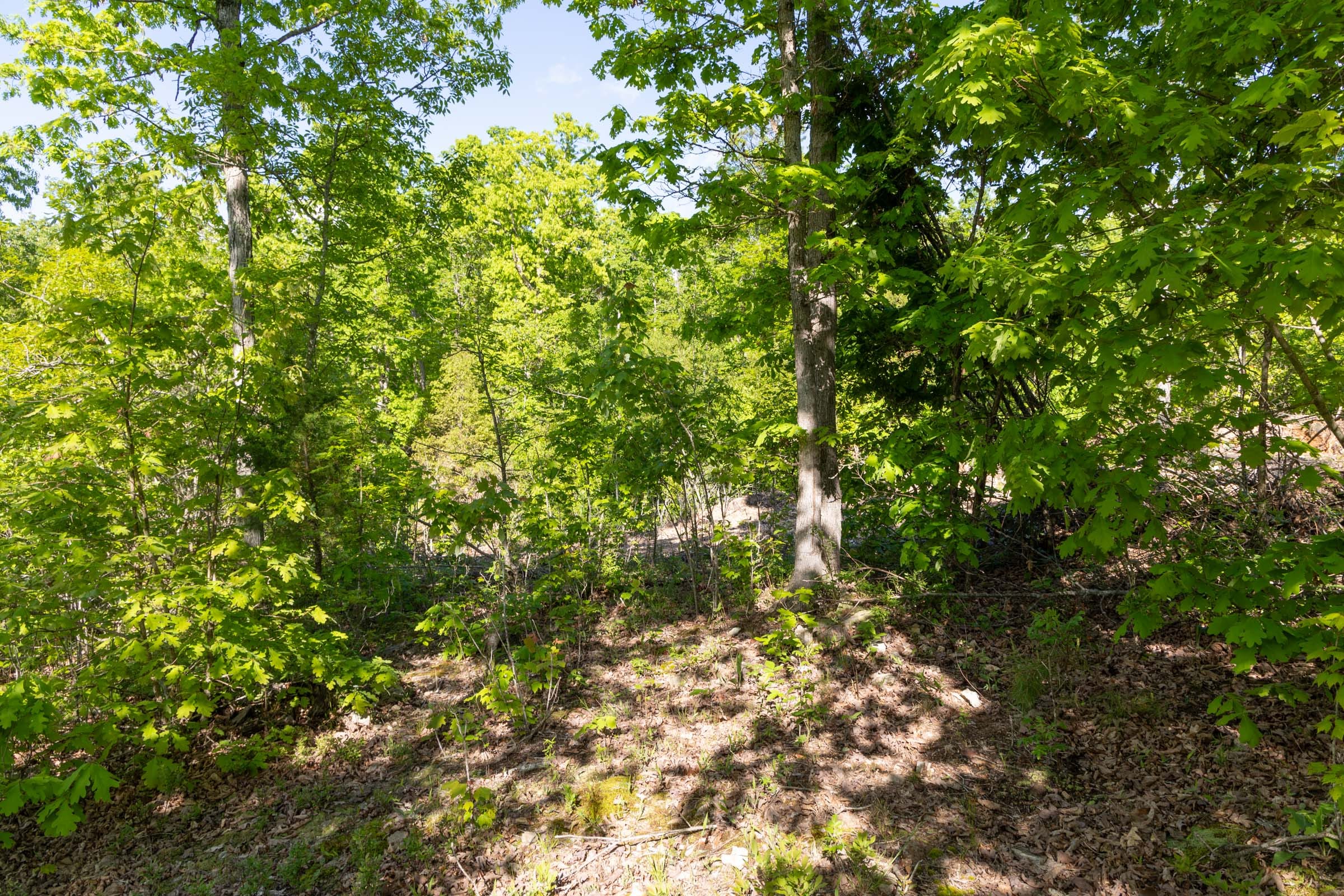 Sleepy Hollow Phase II Tract 63 photo 13