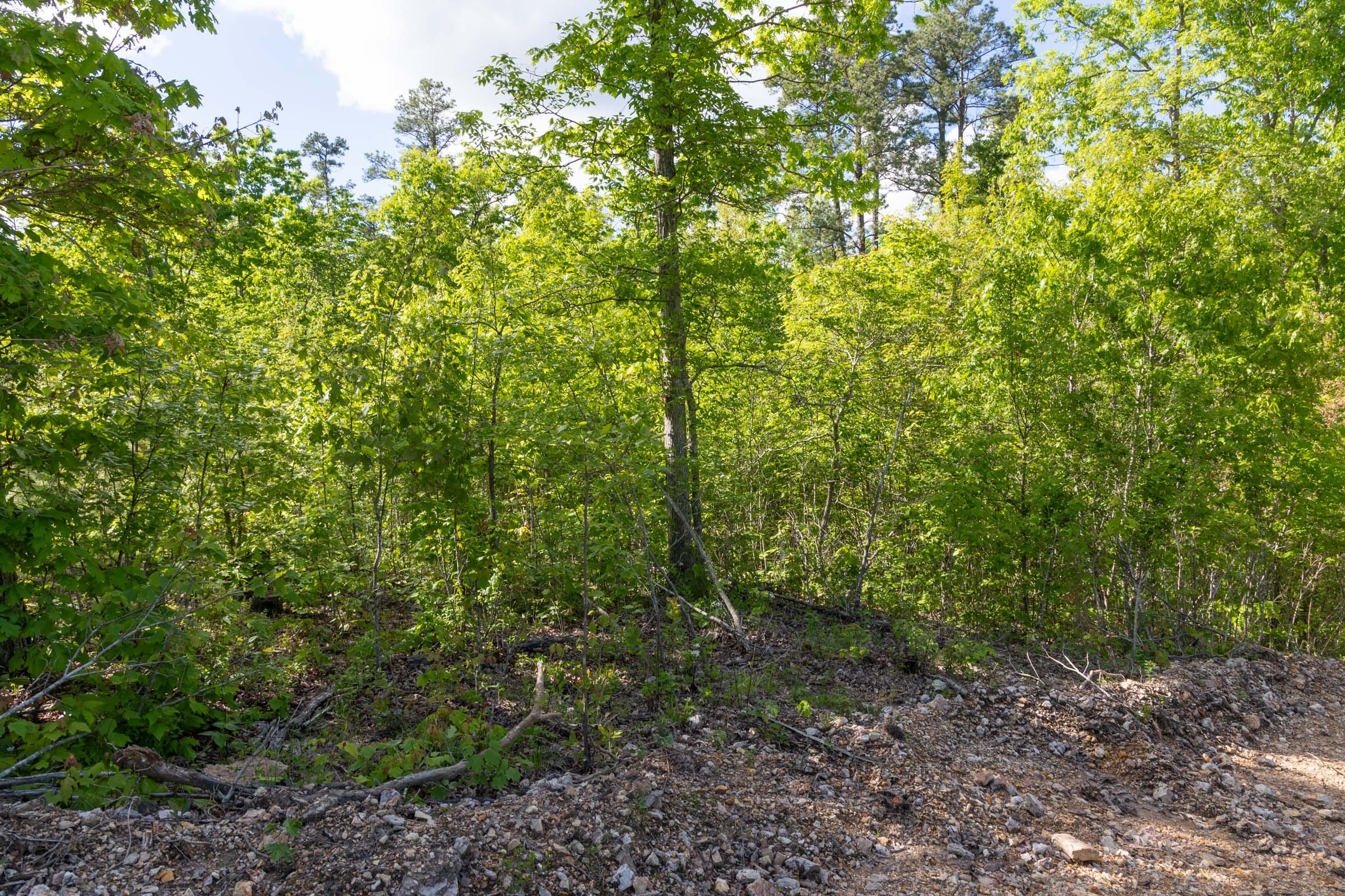 Sleepy Hollow Phase II Tract 63 photo 12