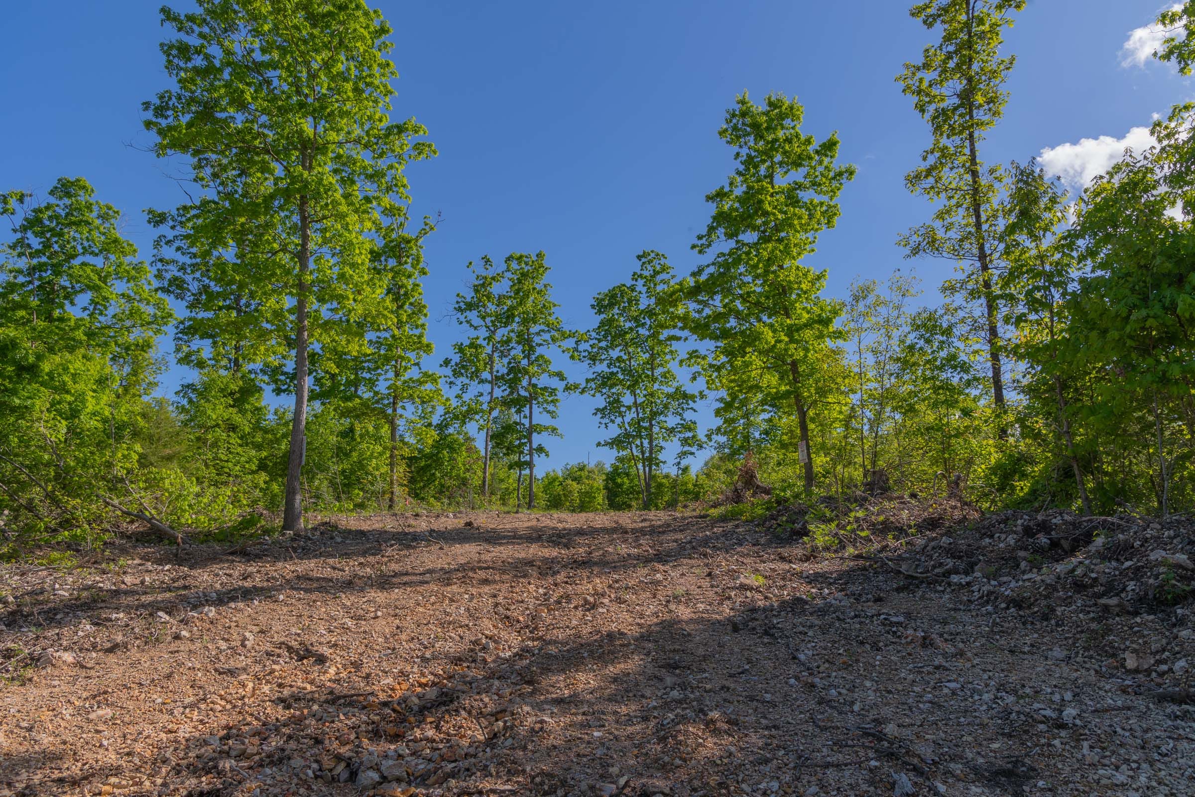 Sleepy Hollow Phase II Tract 63 photo 3