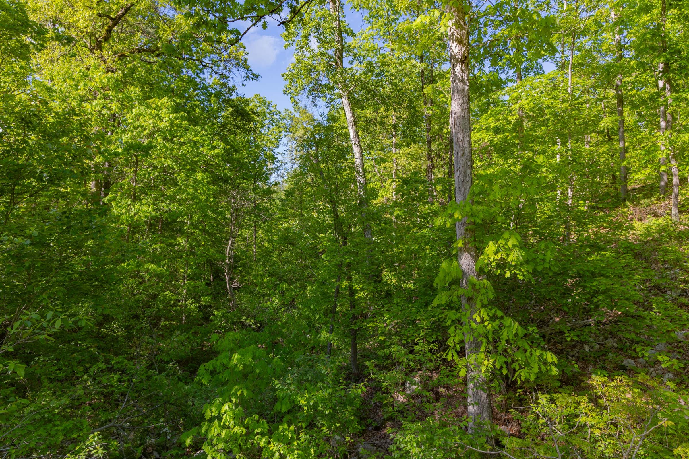 Sleepy Hollow Phase II Tract 60 photo 8