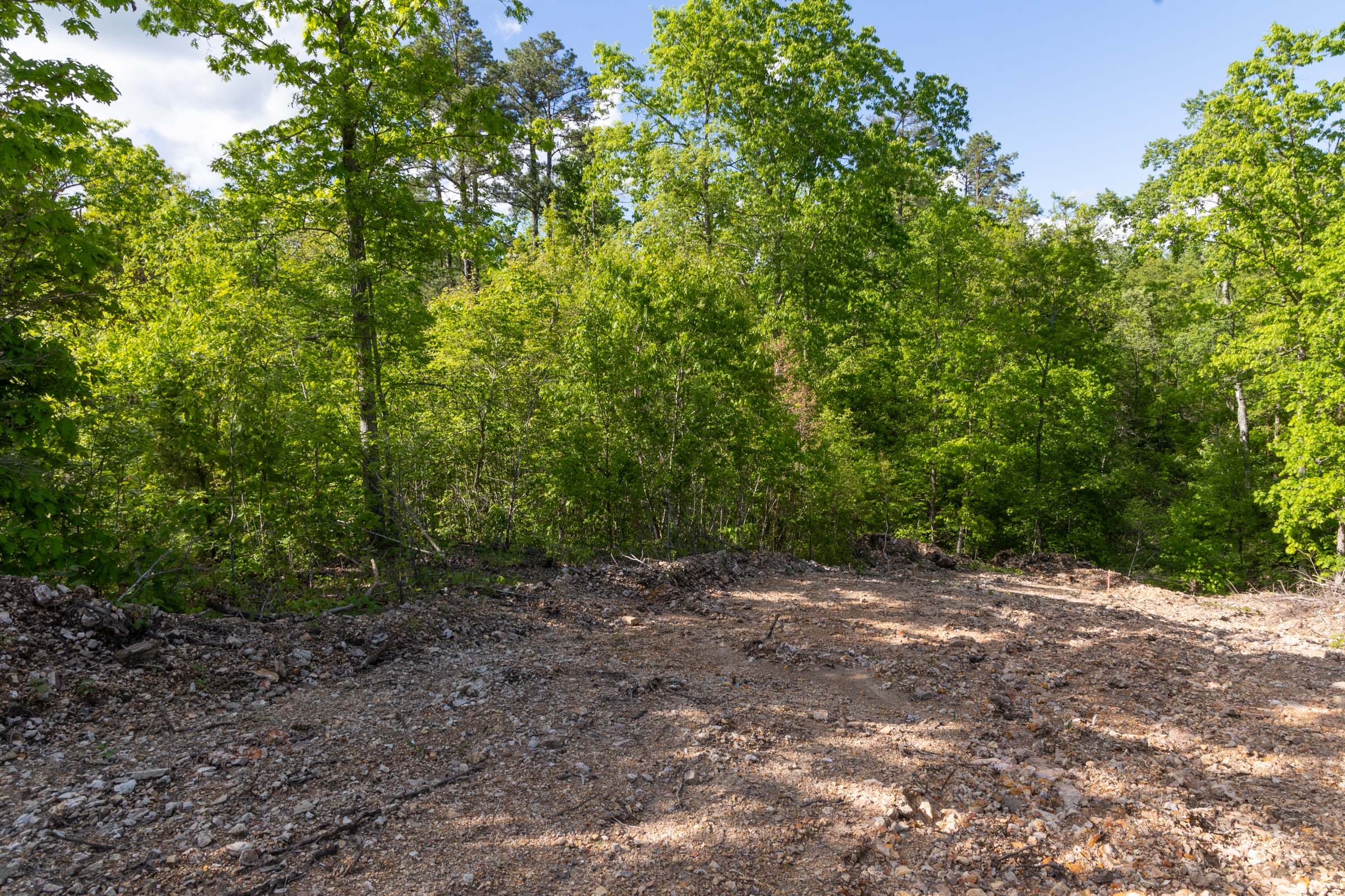 Sleepy Hollow Phase II Tract 63 photo 9