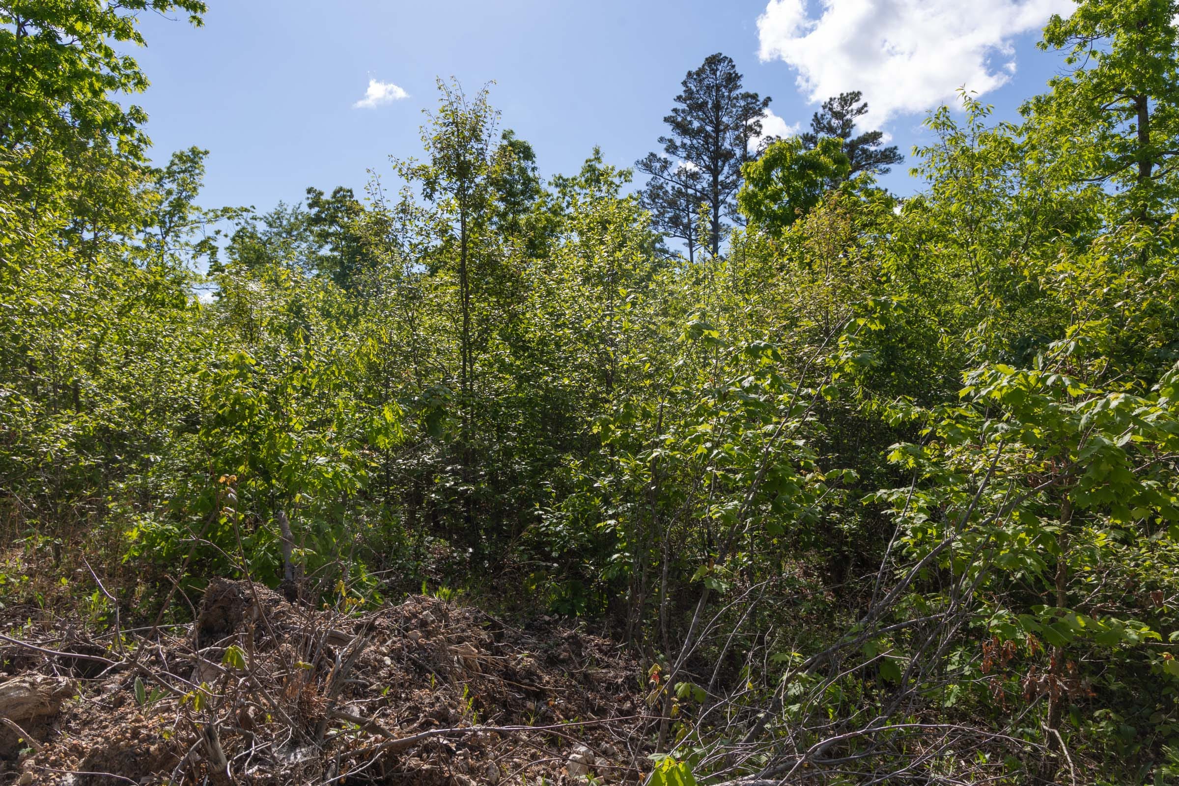 Sleepy Hollow Phase II Tract 63 photo 10