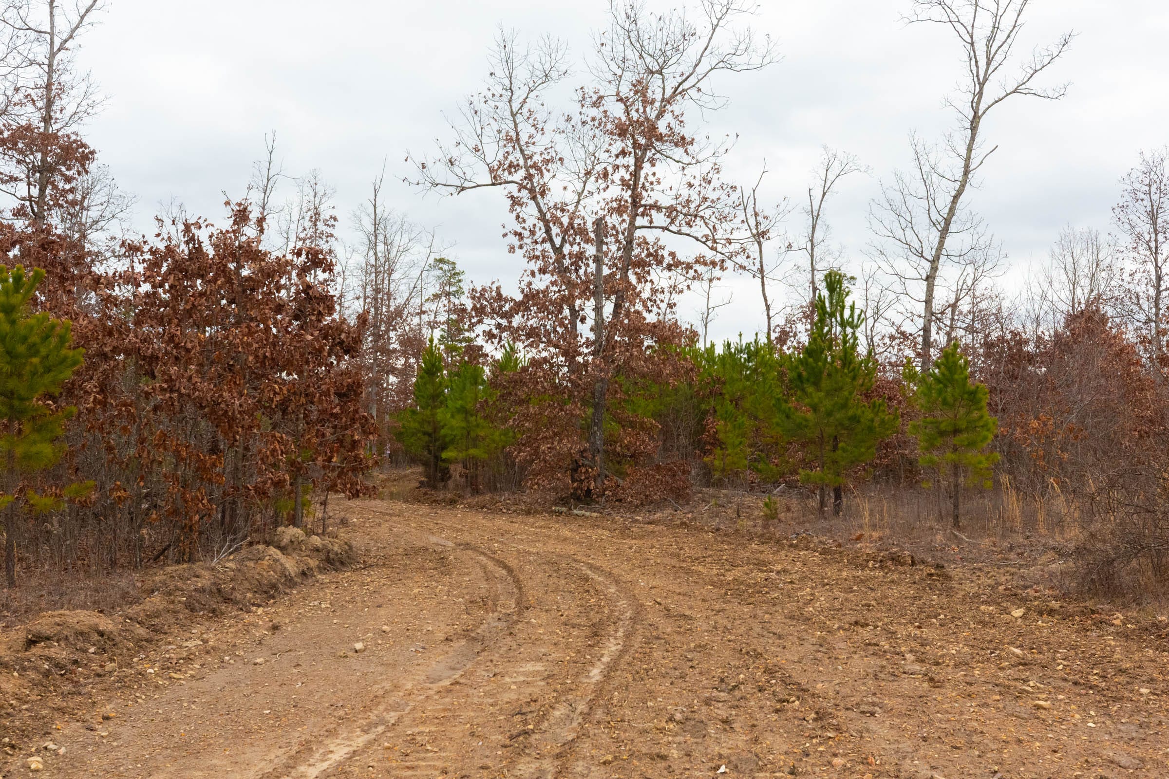Windy Ridge Tract 12 photo 9
