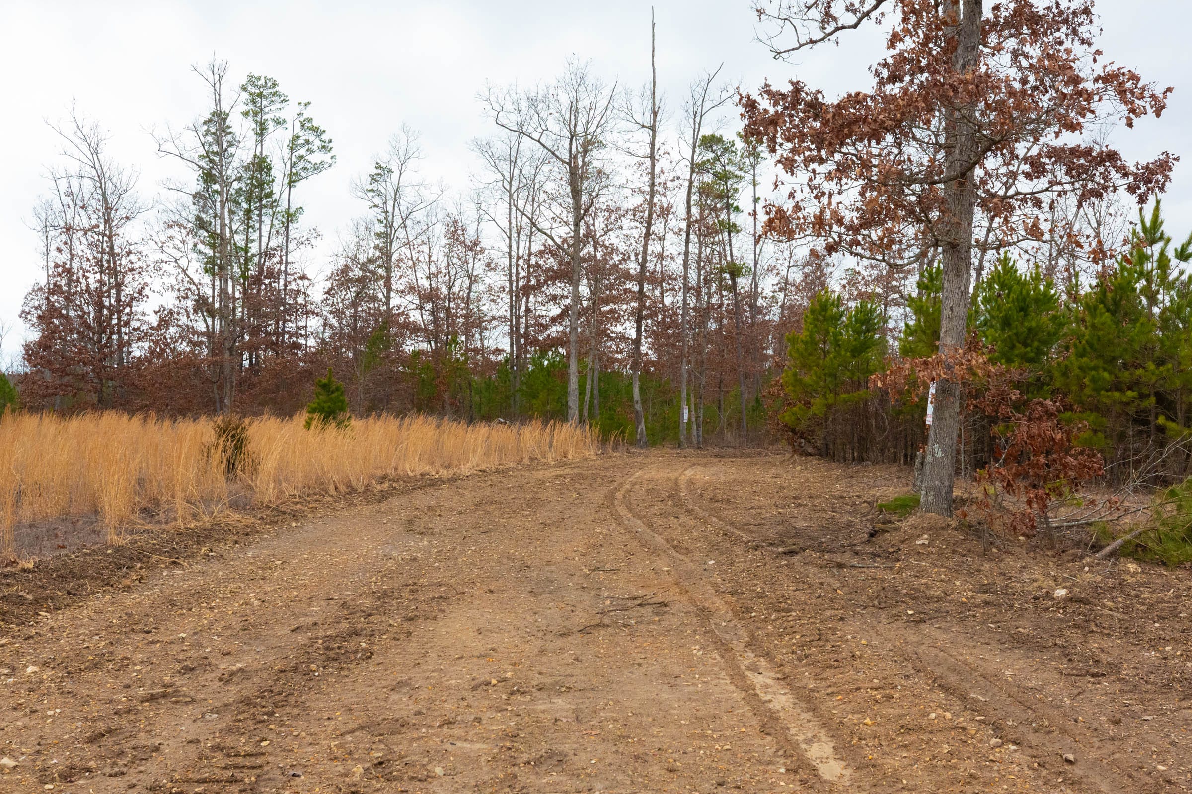Windy Ridge Tract 12 photo 1