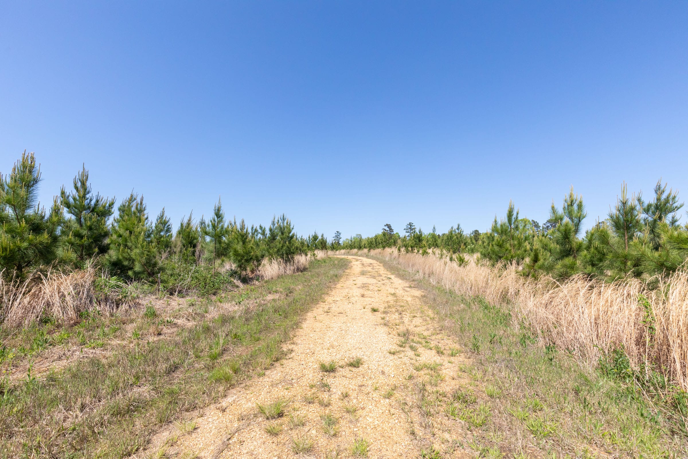 Clear Wood Tract 21 photo 6