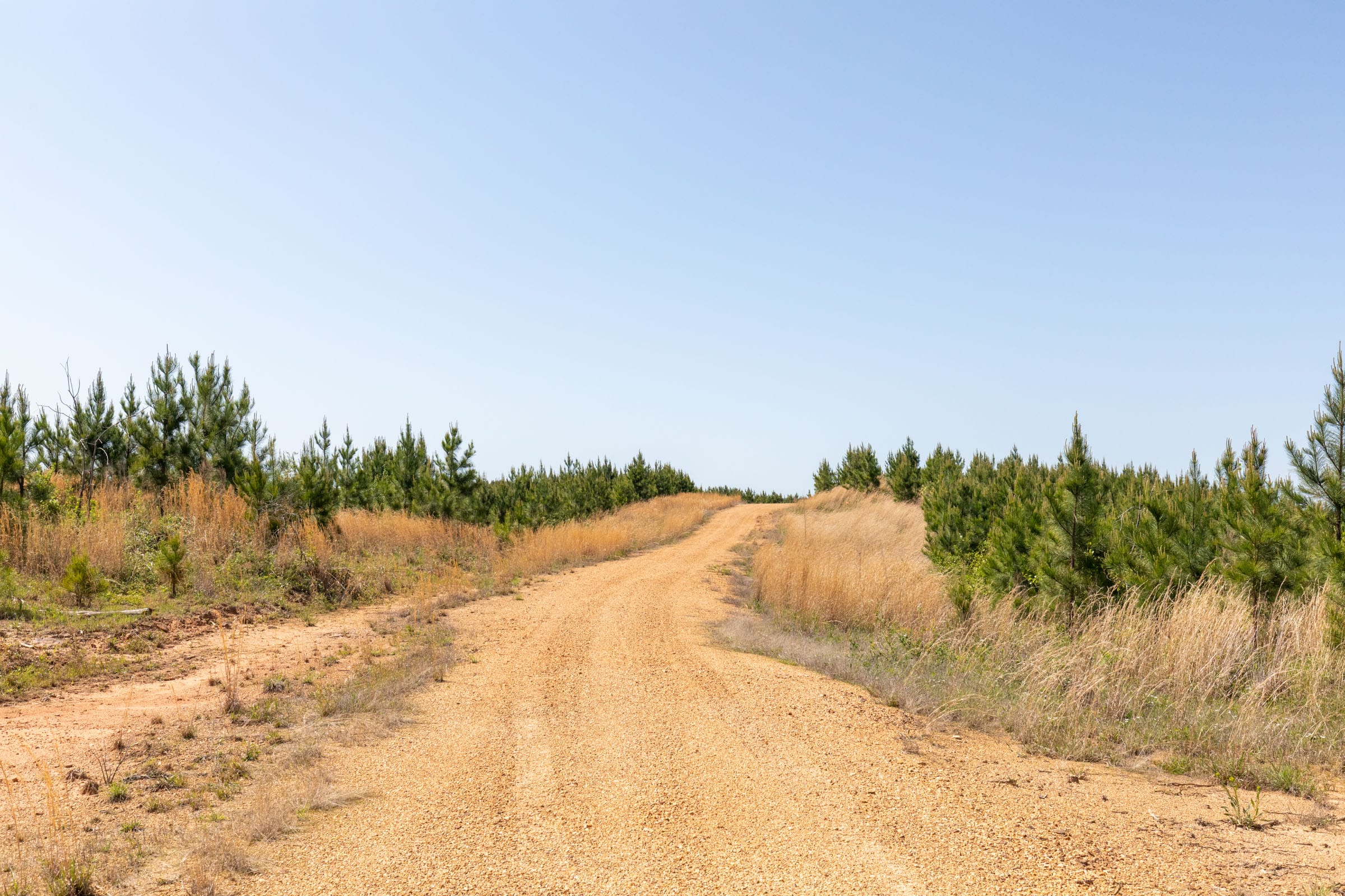 Clear Wood Tract 21 photo 12