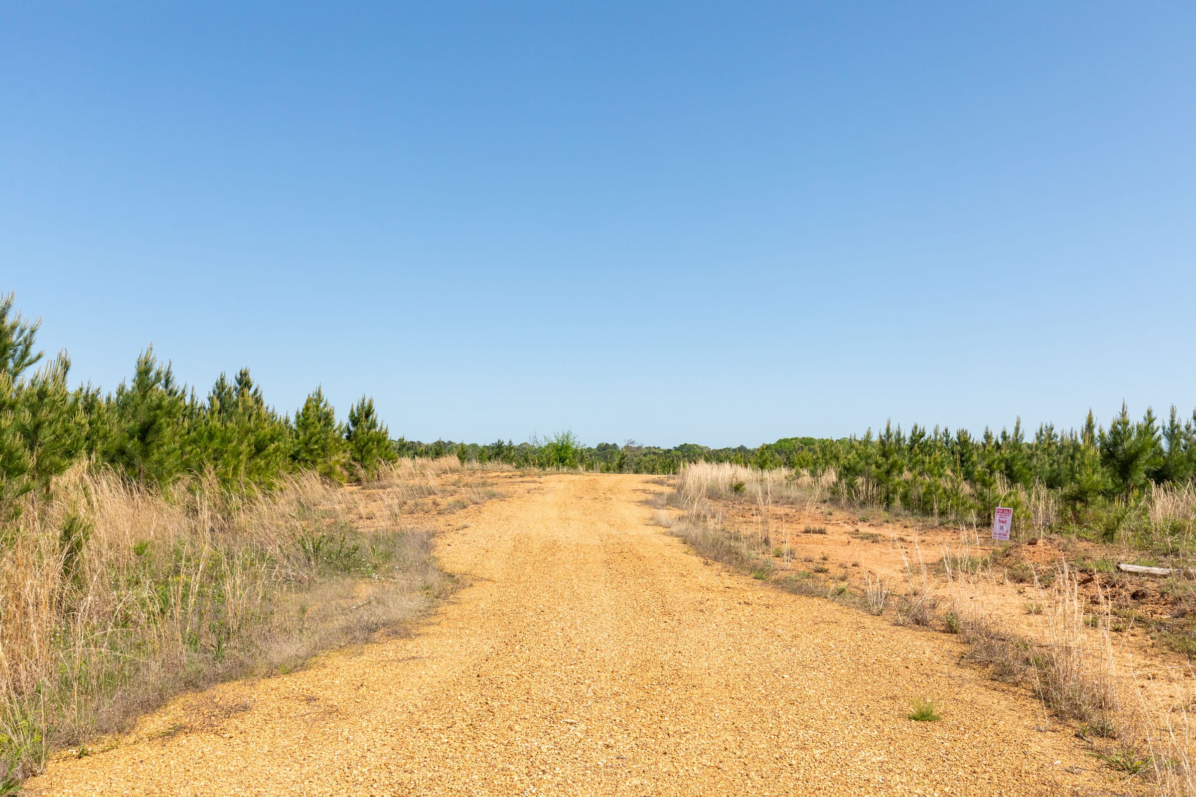 Clear Wood Tract 21 photo 1